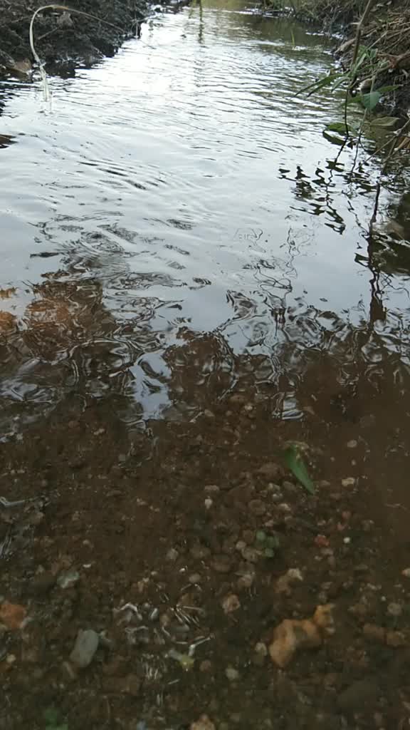 @MAULI