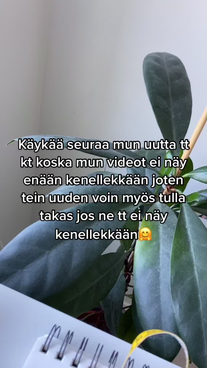 @Pienyritt&auml;j&auml;