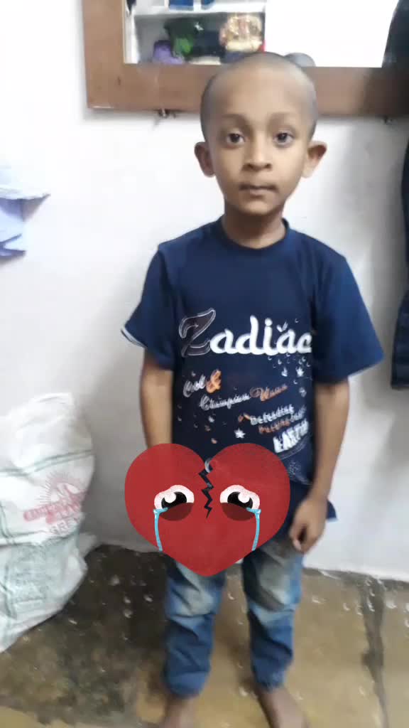 @animesh king model