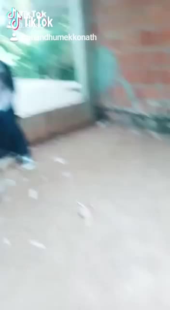 @anandhu_mekkonath