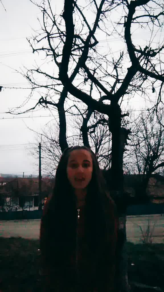 @Pălăduță Elena~Andreea