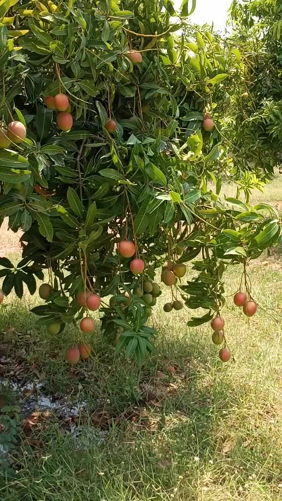 @user4428652352326