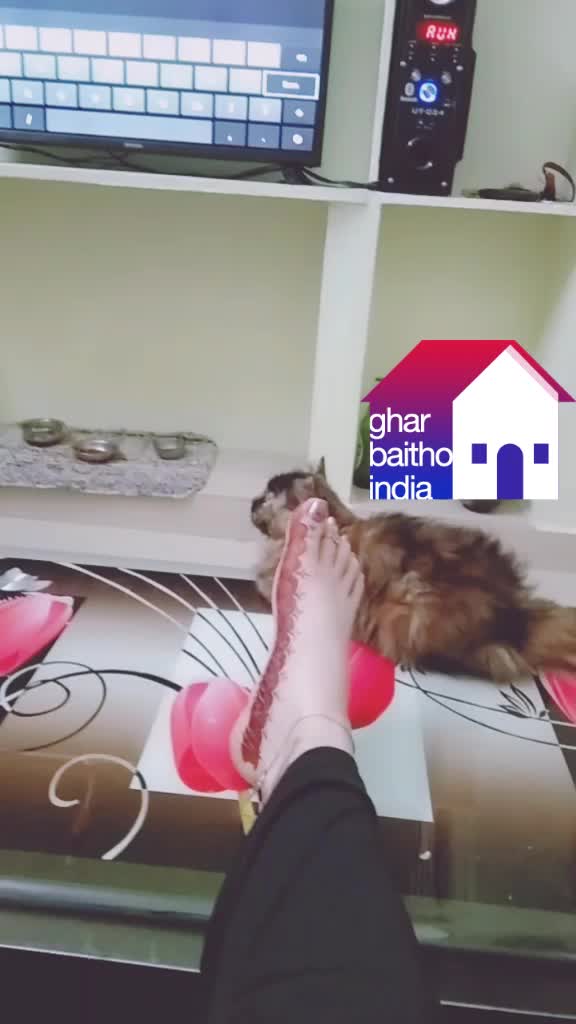 @Lế Việt Việt