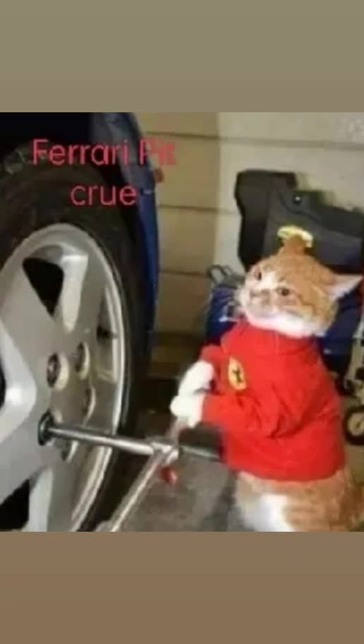 @GrannyMeme
