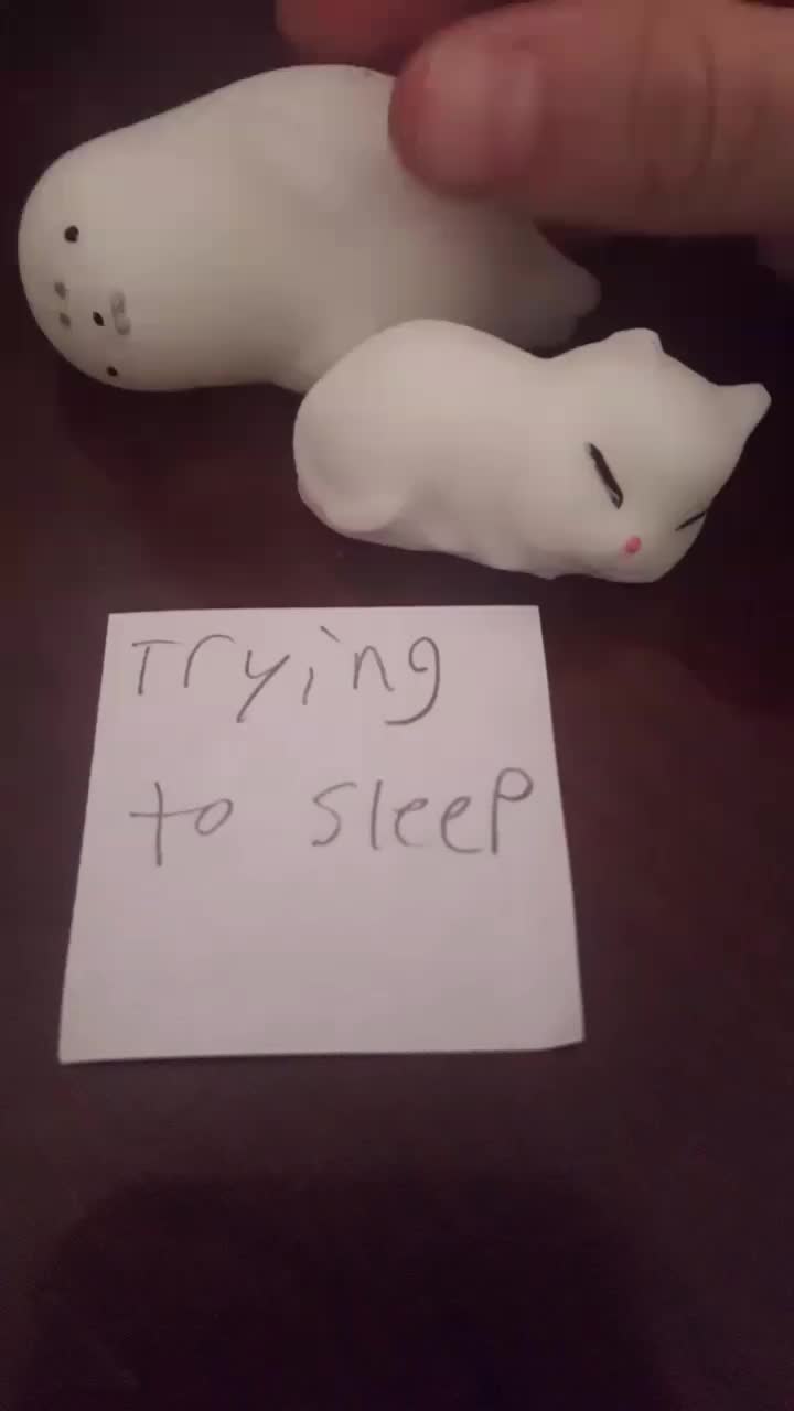 @Mochi Animals