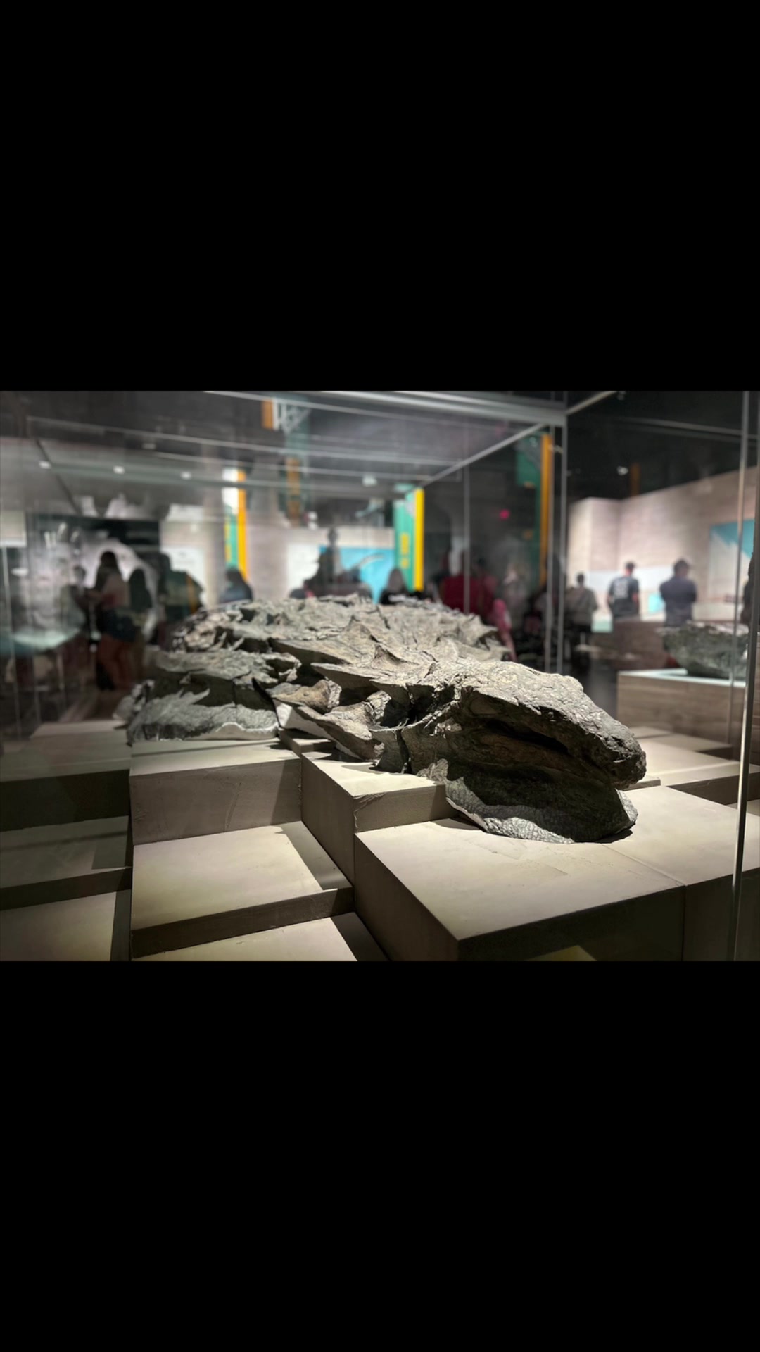 @Sarcastic_therapsid