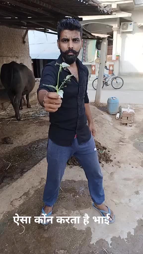 @HA MARU ARVALLI HA GJ 31