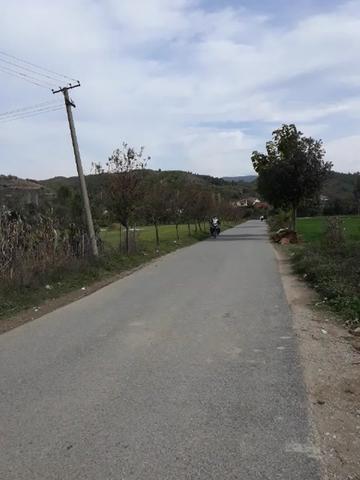 @user8013296174486