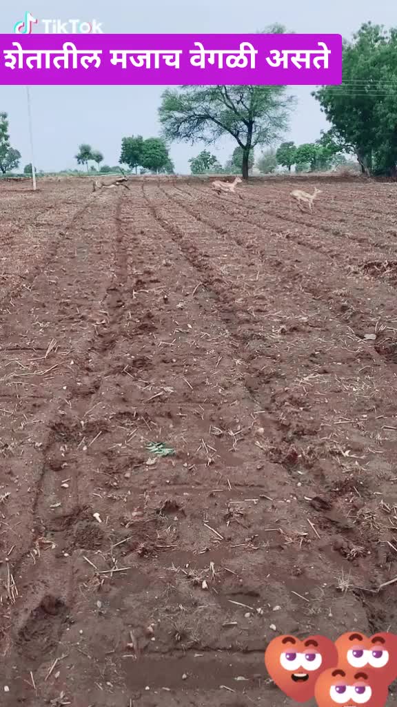 @शिवभक्त राम शिंदे पा