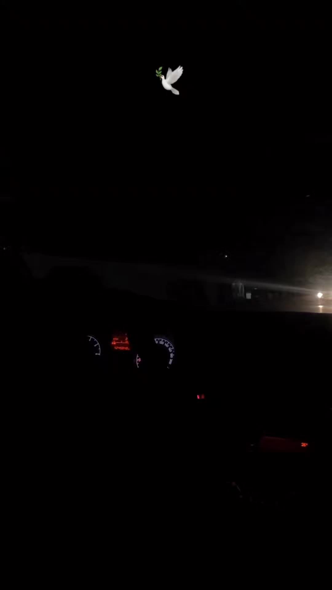 @Loughaa🌪️🕸️