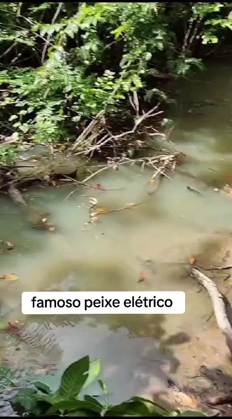 @mabioestevao