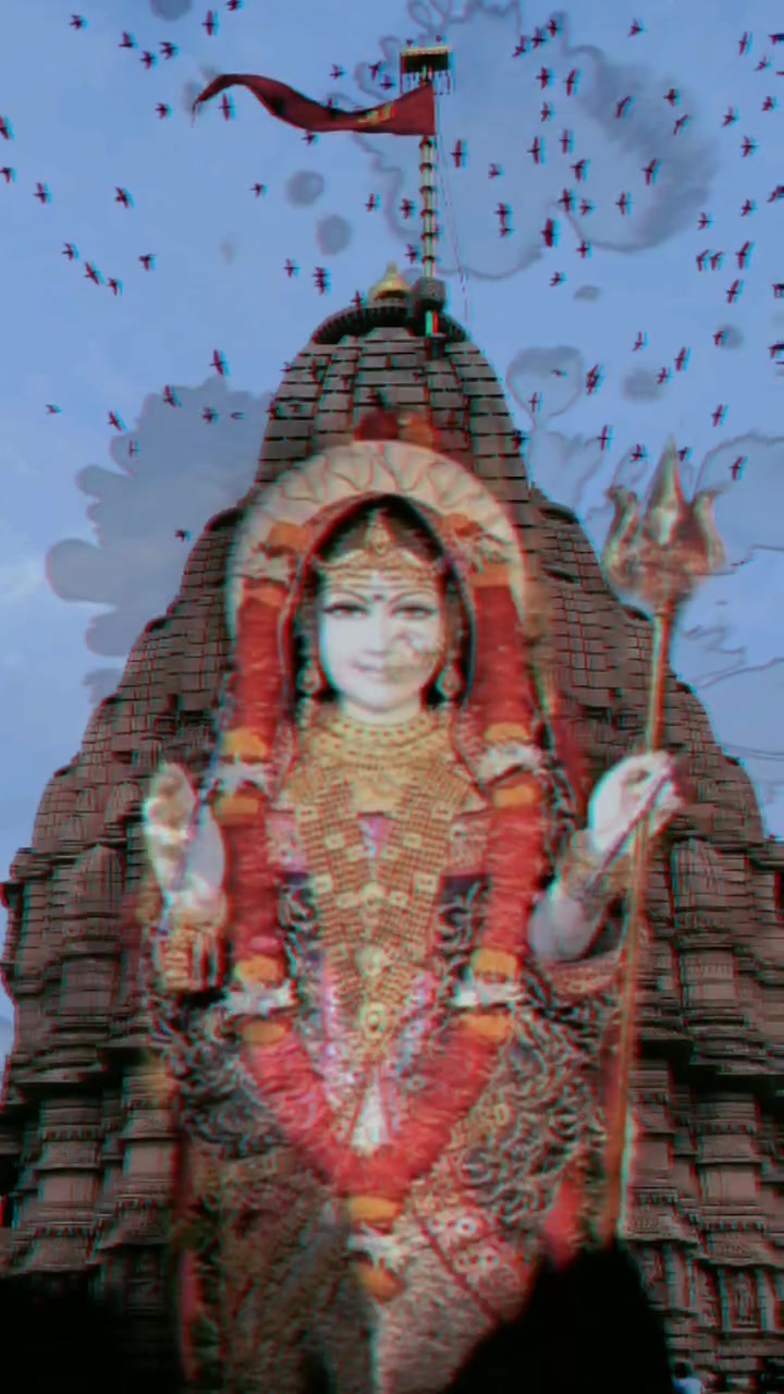 @dhaduk_vivek