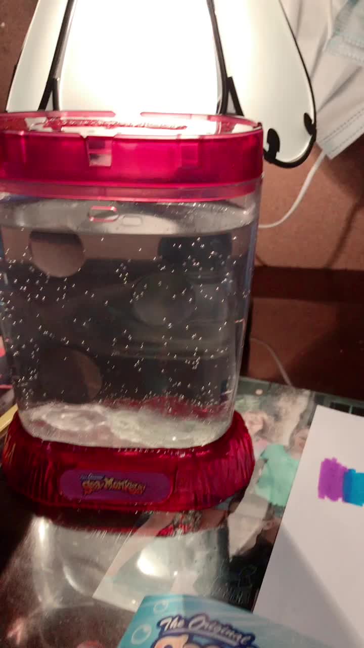 @sea monkeys