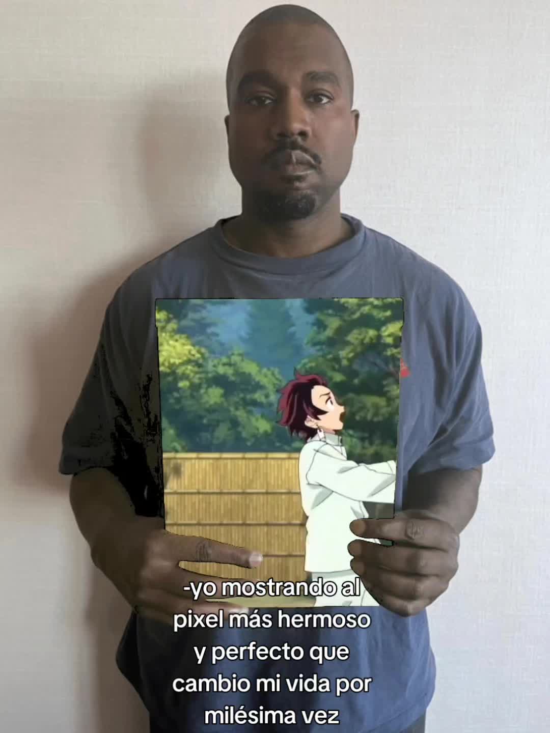 @ToonamiR