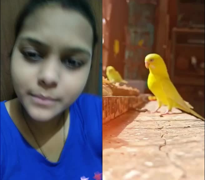 @Zeneha