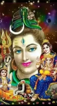@user38582565992