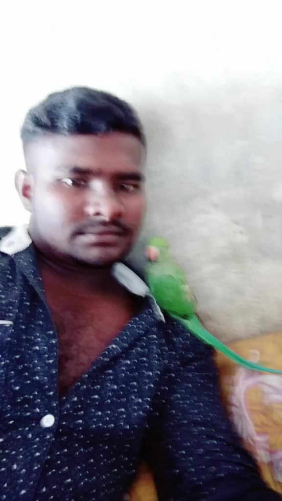 @Panner Selvam