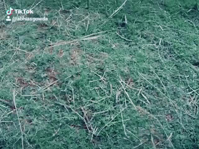 @ಅಭಿಗೌಡ ಕಬಡ್ಡಿ
