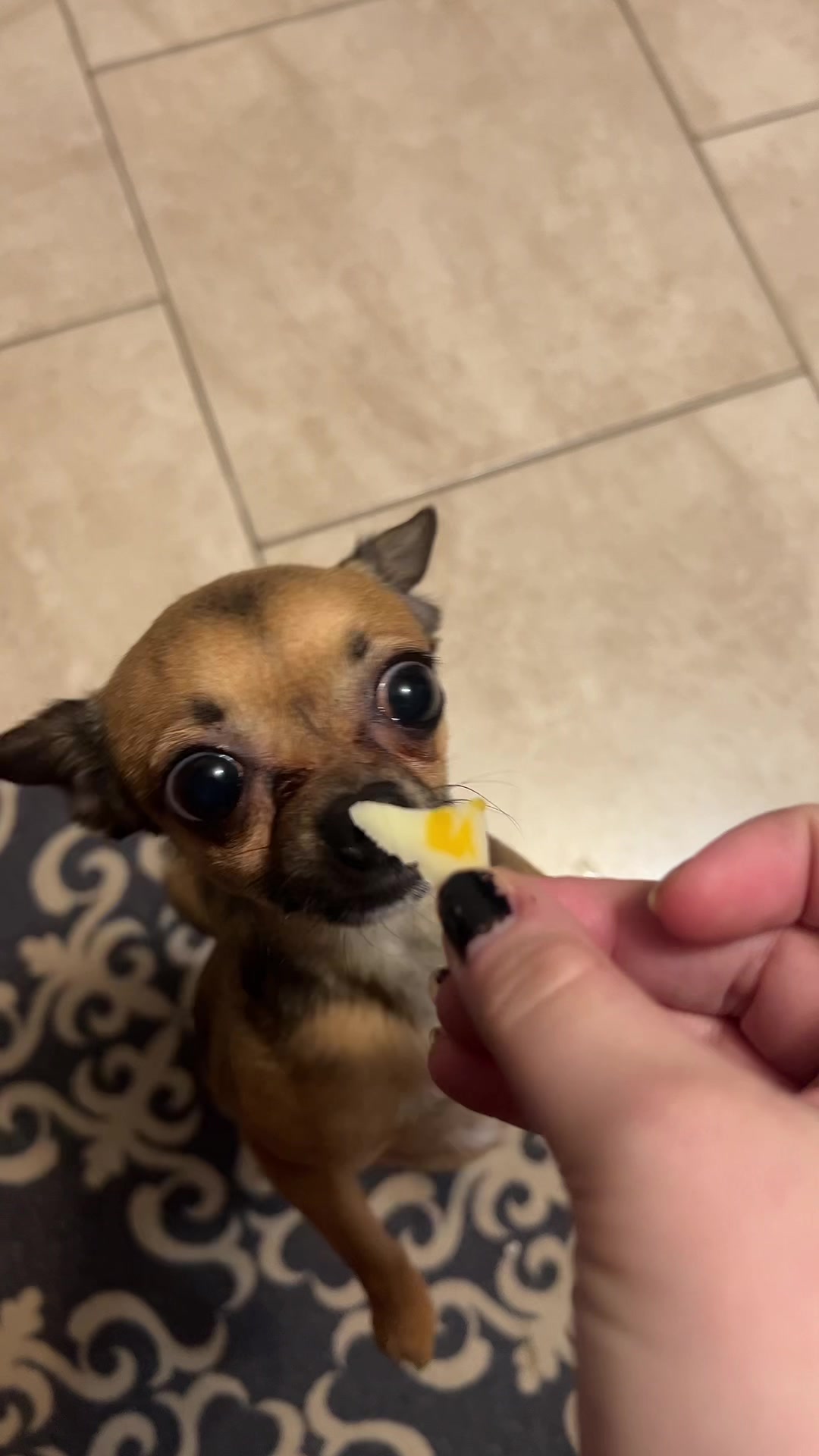 @_