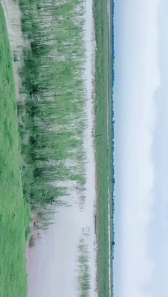 @user021070