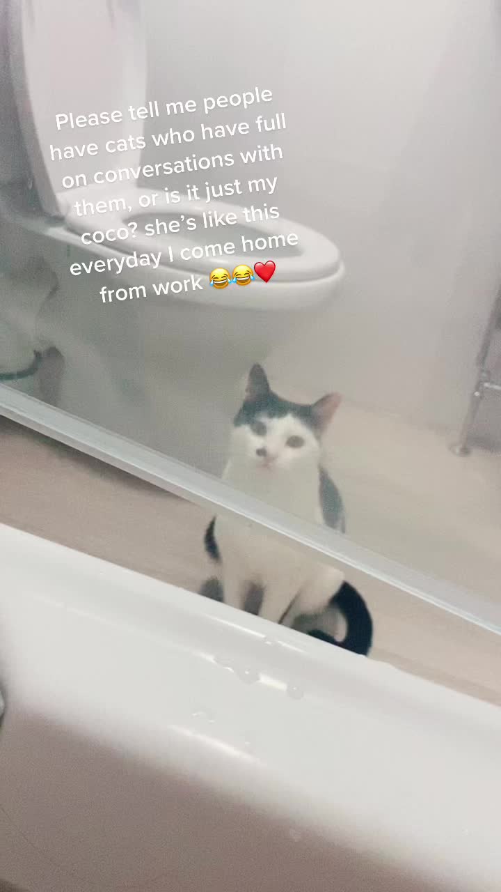 @AmzMcb