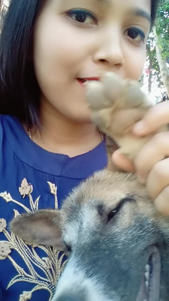 @Alampika Terangpi