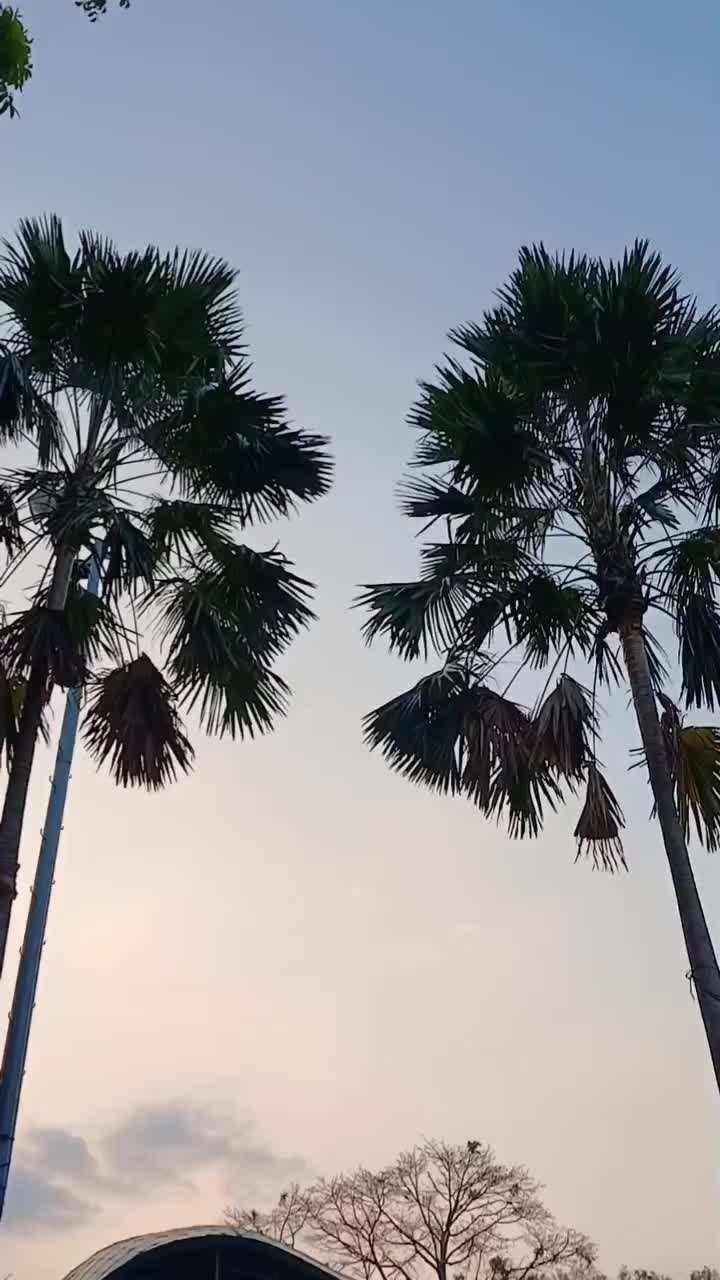@Bukit Buku