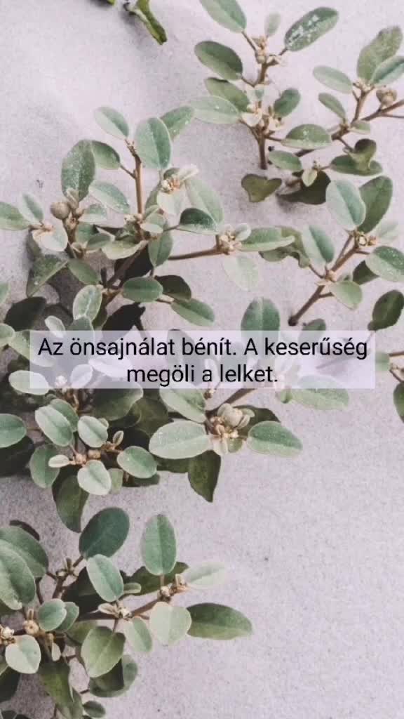 @💕
