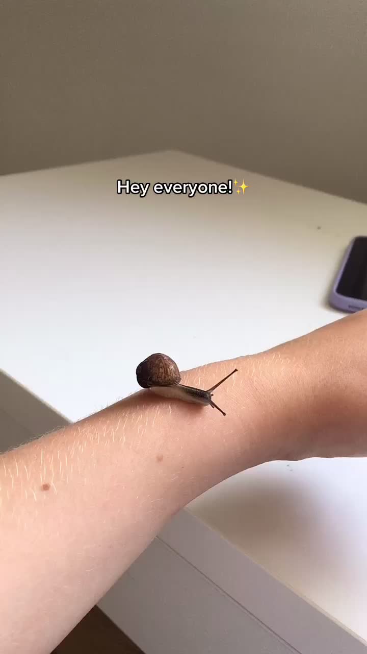 @Peppy the snail <3
