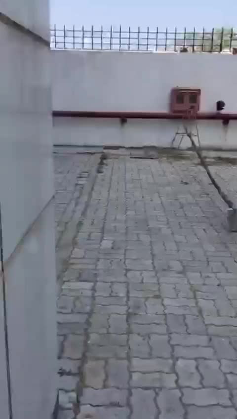 @Raj Kumar