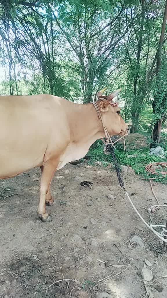@user5597948150842