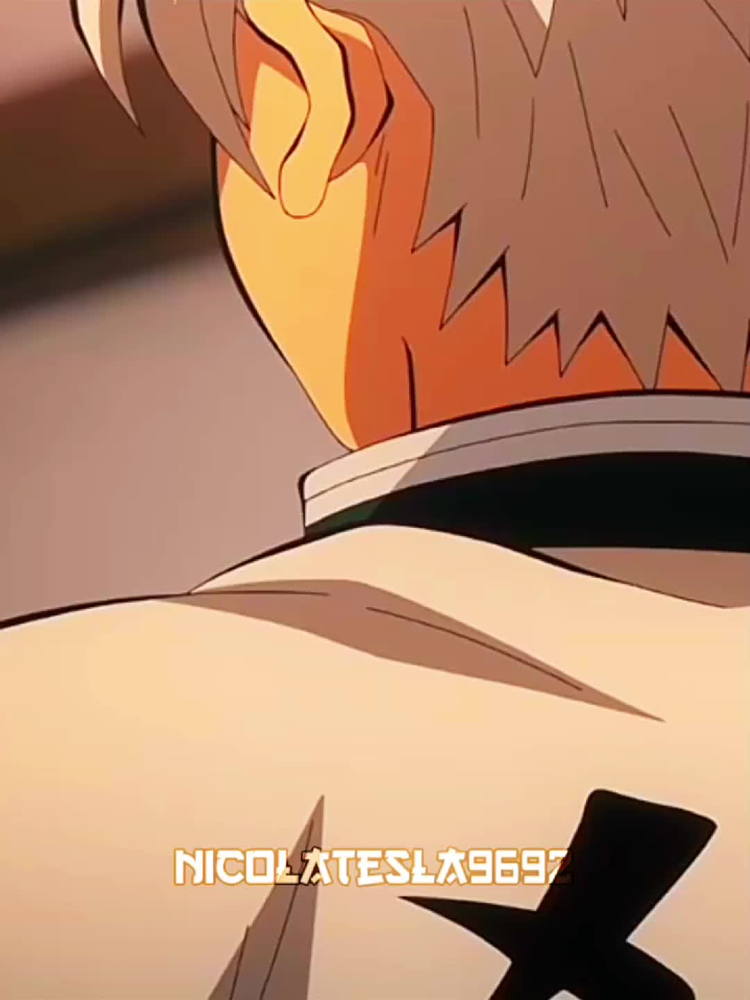 @nicolatesla9692