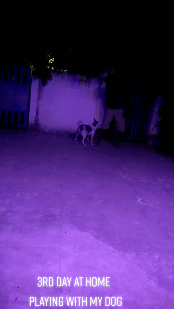 @Selva Sivakumar