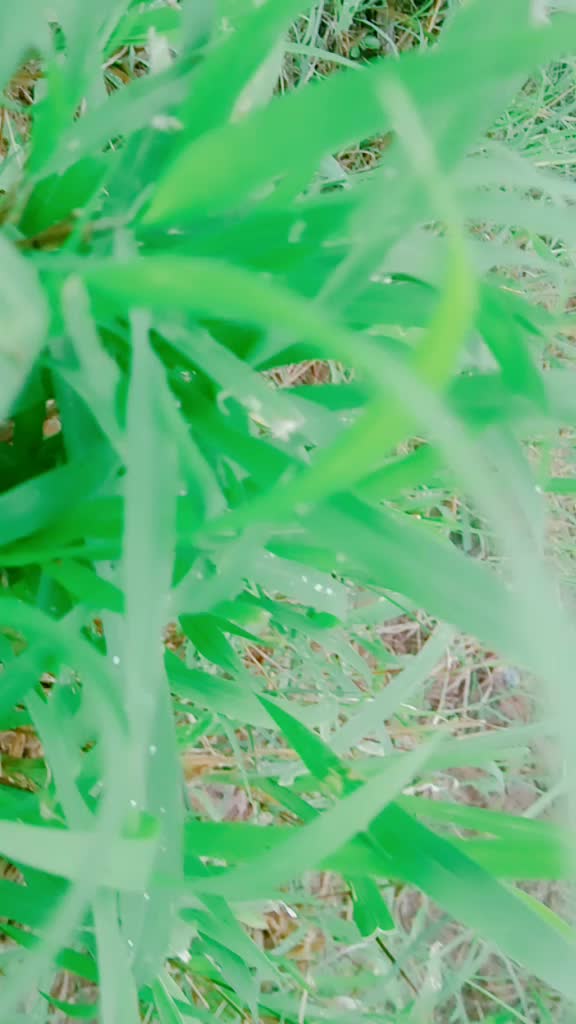 @Mahi๐๐โ๐๐ค