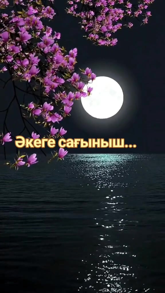 @Зулхумар Курбанбекова⭐️⭐️🔥