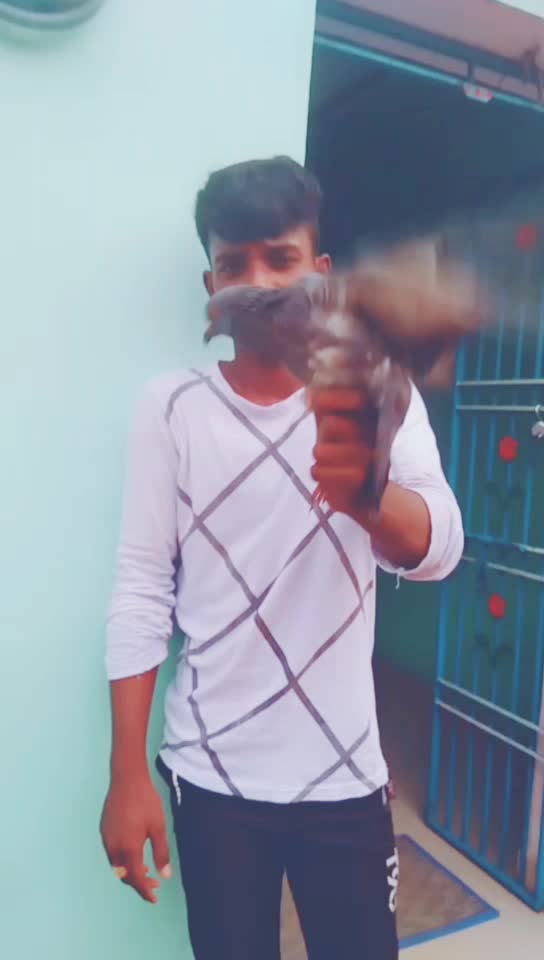 @Anjiaha Anji