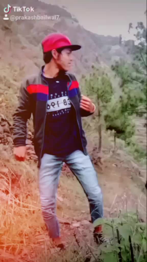 @bailwalparkash7