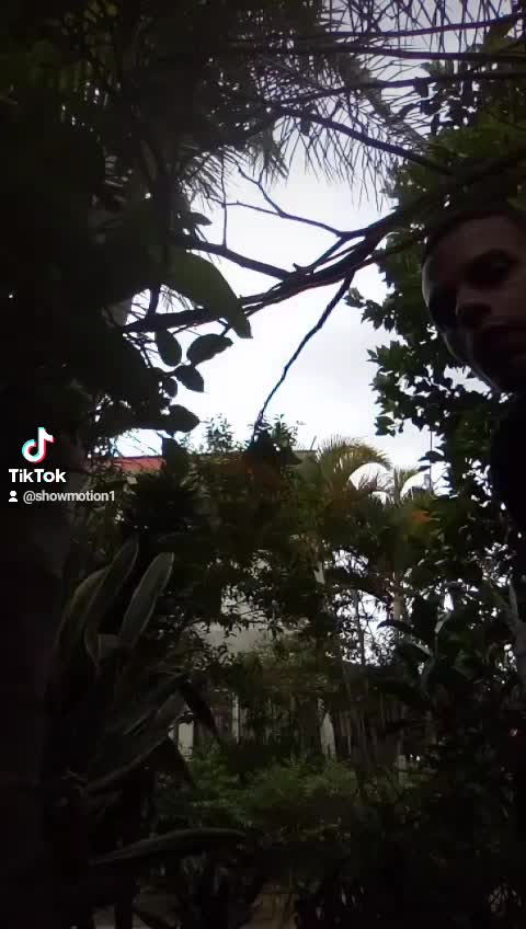 @showmotion