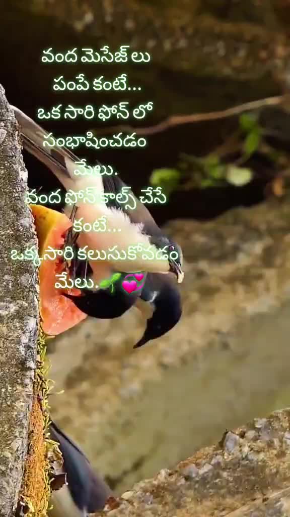 @𝓻𝓪𝓿𝓲𝓼𝓱𝓻𝓾