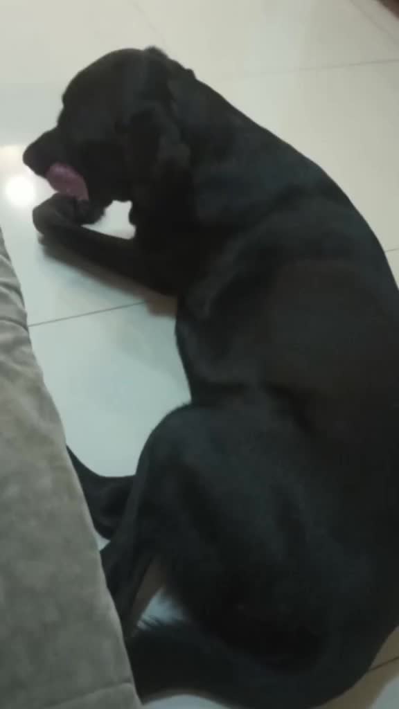 @MARLEY E ELAS