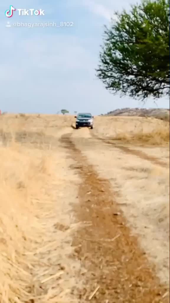 @jayrajsinh_dholera