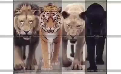 @@NAVEEN REDDY