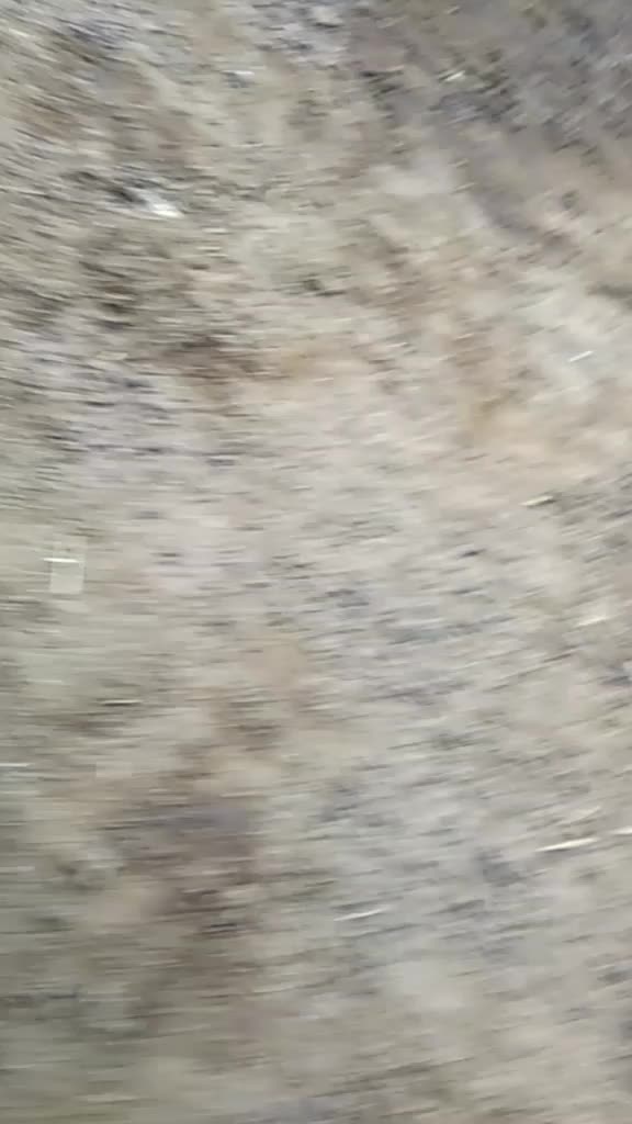 @Balu Yadav