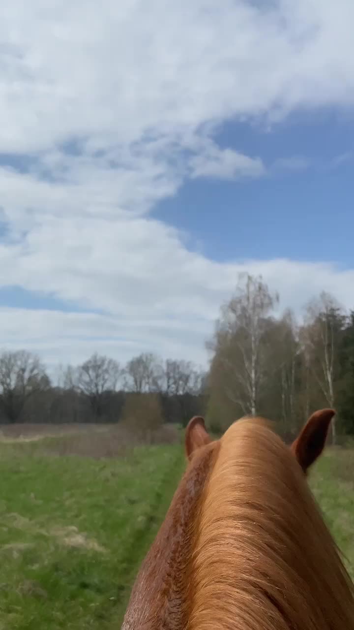 @Klara
