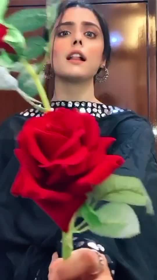 @Ritika Chauhan
