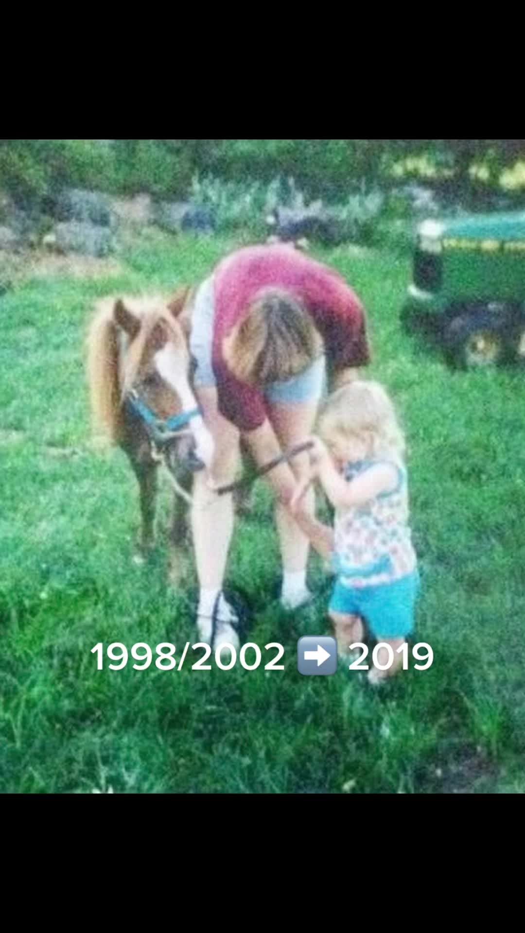 @Sarah & Patrick The Mini Horse