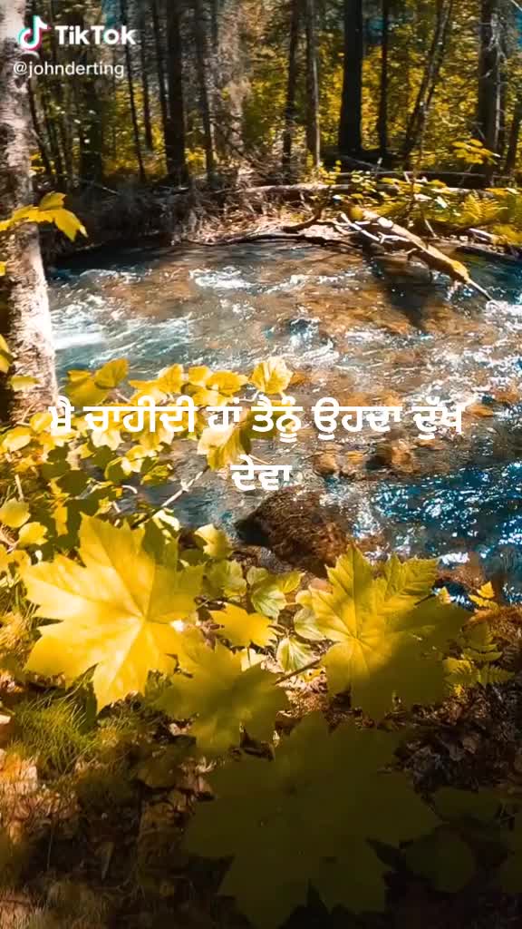 @Seerat