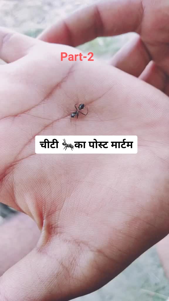 @✰๖ۣۜℜaͥjeͣeͫvSharma✰