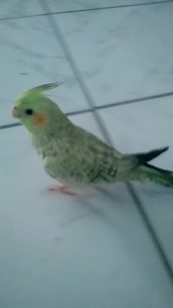 @matheus e luciana