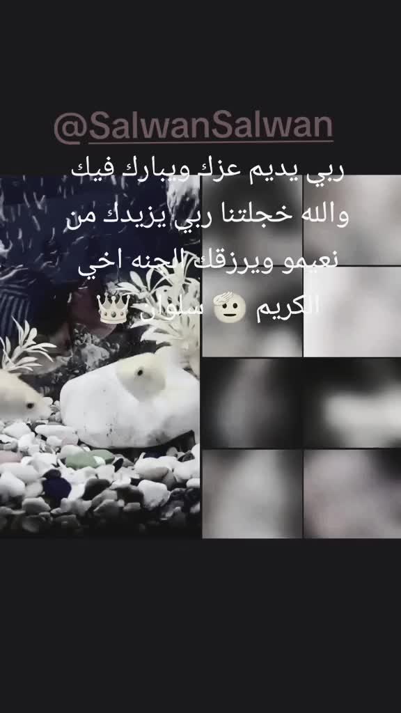 @👑🕋 نور الايمان 🕋👑